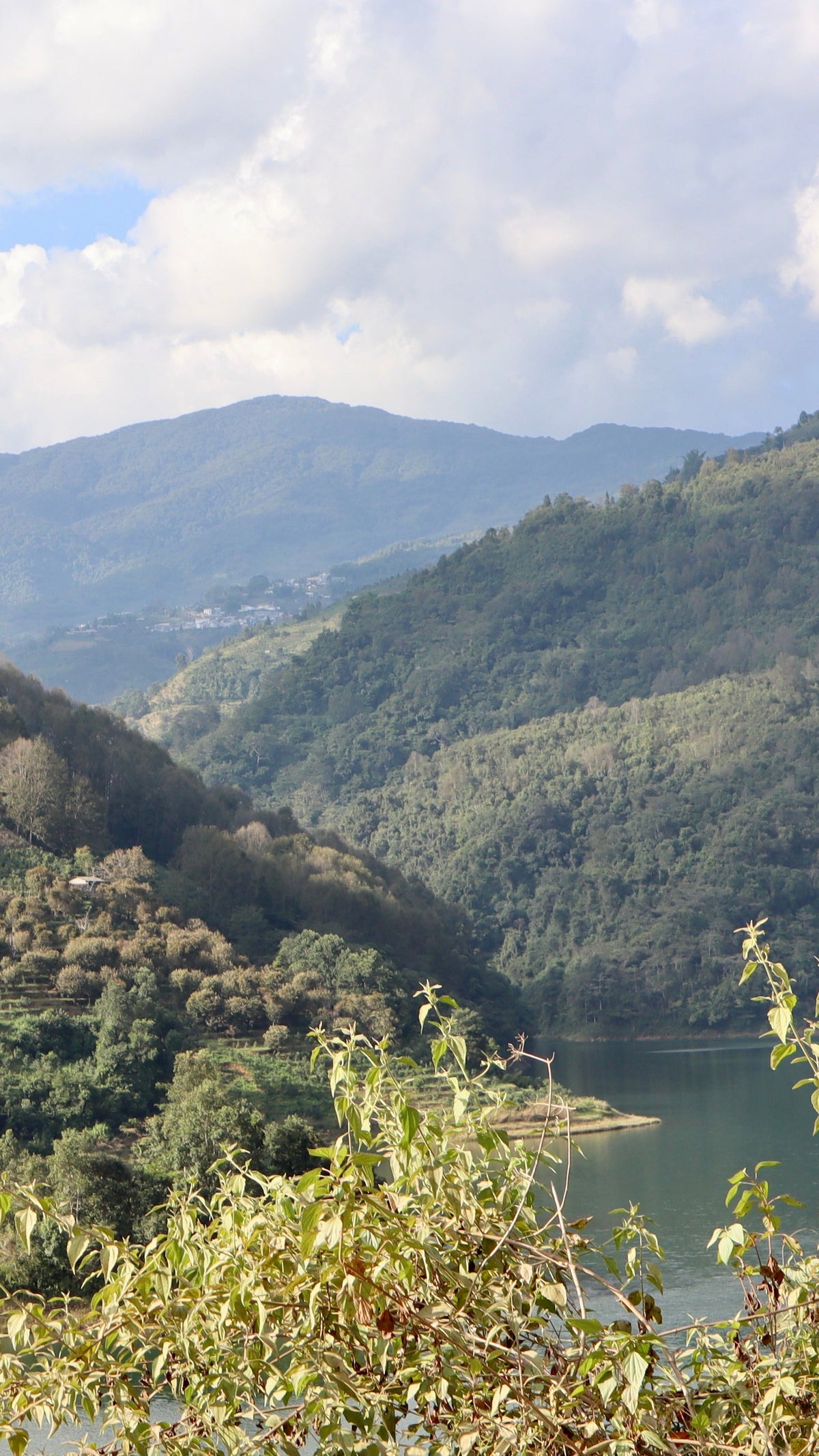 Dongbanshan (东半山)